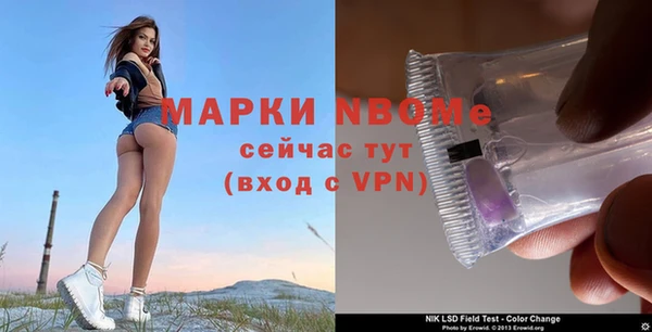 ГАЛЛЮЦИНОГЕННЫЕ ГРИБЫ Баксан
