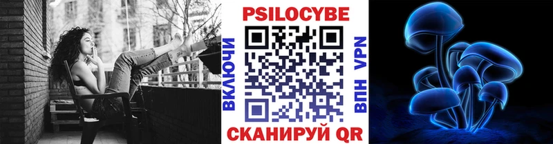 даркнет сайт  Озёры  Псилоцибиновые грибы Psilocybine cubensis 